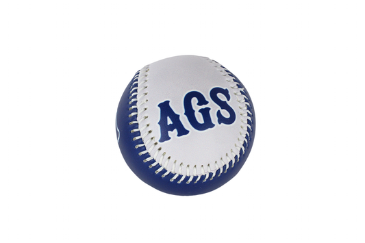 26 PELOTA DE COLECCION