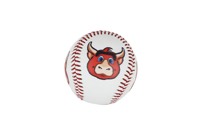 26 PELOTA DE COLECCION